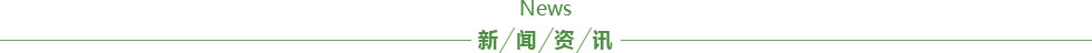 新闻资讯